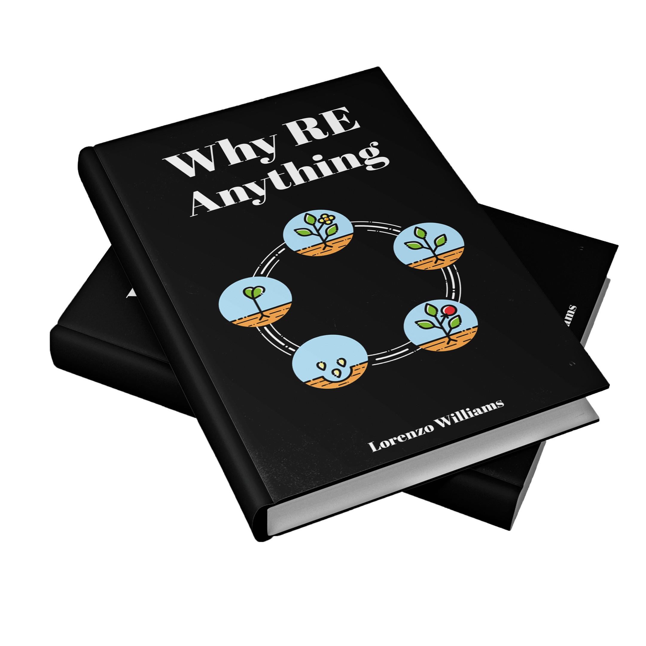 Why RE Anything Book